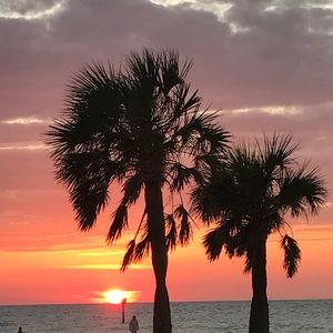 Meet your Posher, Madina